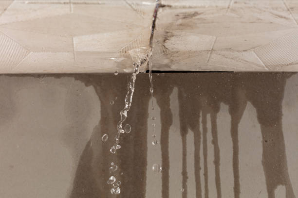Professional Water Damage Inspection technician working in Bradford, NH